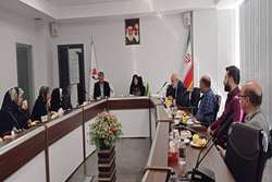 نشست صمیمانه هیئت تحریریه نشریه خط زندگی با معاون تعاون و امور اجتماعی بنیاد شهید و امور ایثارگران 